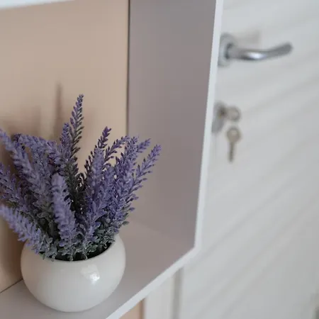 Terrazza Garibaldi Bed and Breakfast Νάπολη